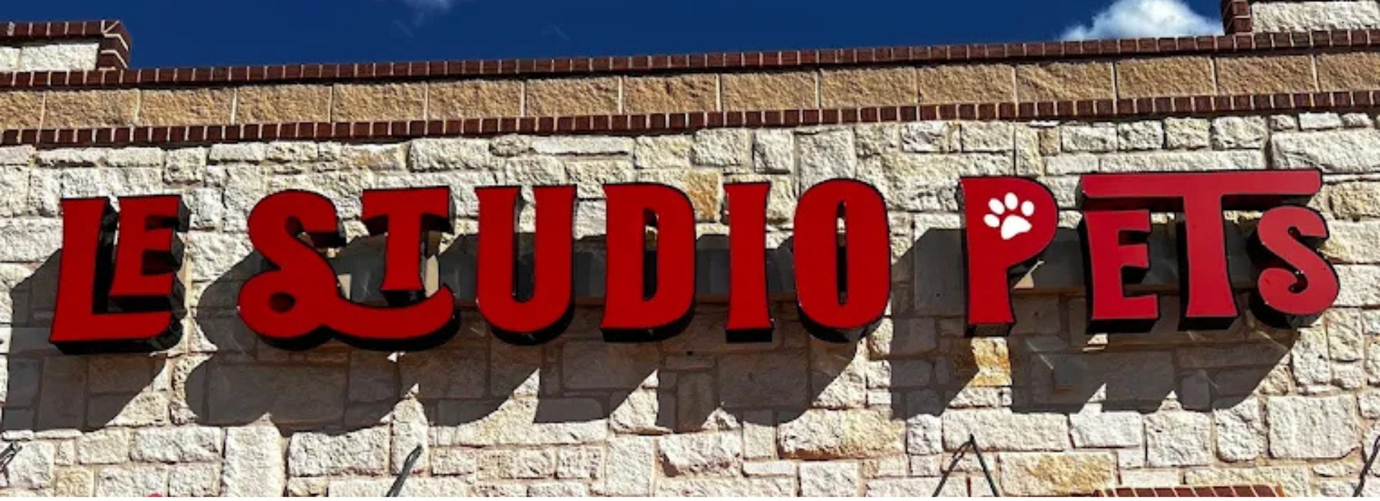 Le Studio Pets (1)
